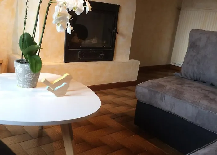 بيت للعطل La Maison De Berry Monistrol-sur-Loire